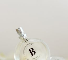 Collection B Este Lauder Pleasures