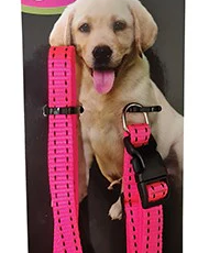 Grants Collar And Lead Combo 10mm