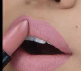Revlon Super Lustrous Mattes Lipstick Untold Stories 011